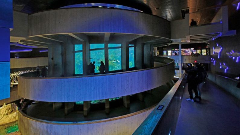 New England Aquarium Boston - Giant Ocean Tank
